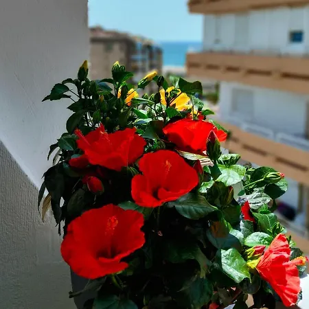 Rentaly Holidays Artes De Arcos